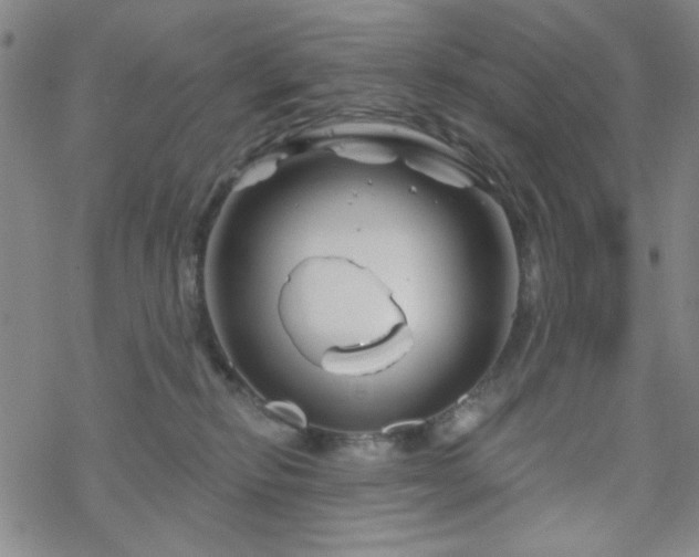 X0000070180278200606021040