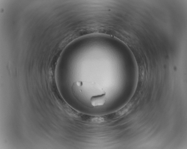 X0000070180279200606021040