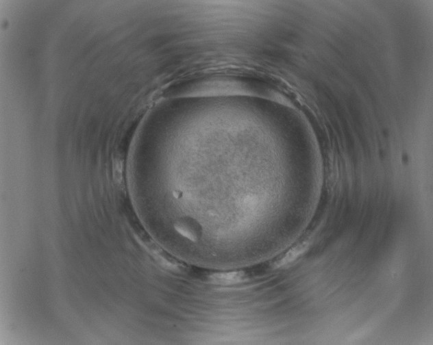 X0000070180281200606021040