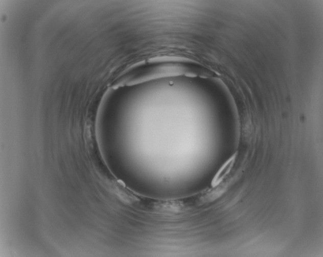 X0000070180282200606021040