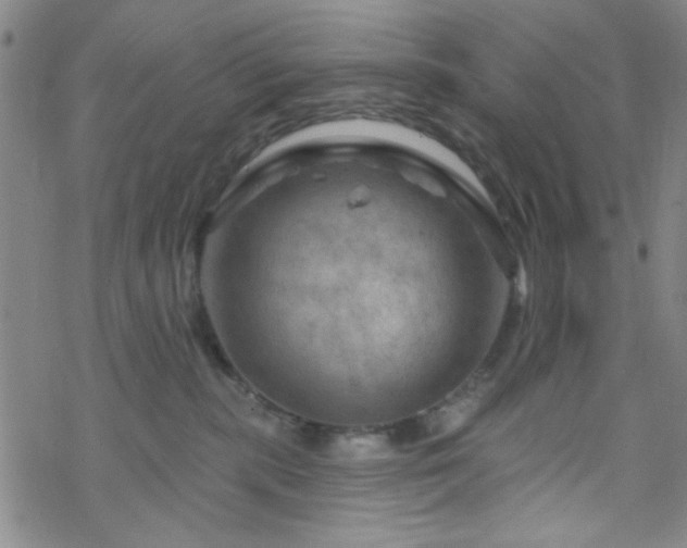 X0000070180283200606021040