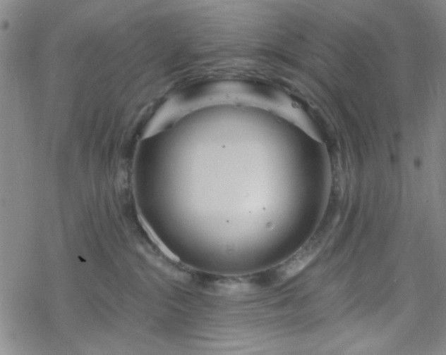 X0000070180284200606021040