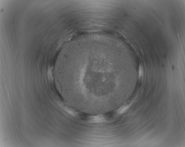 X0000070180286200606021040