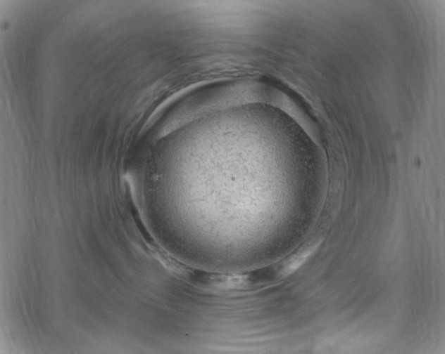 X0000070180288200606021040