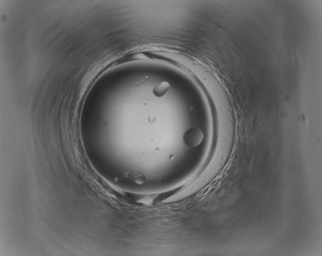 X0000070180289200606021039