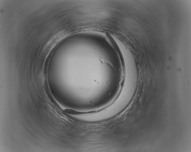 X0000070180290200606021039