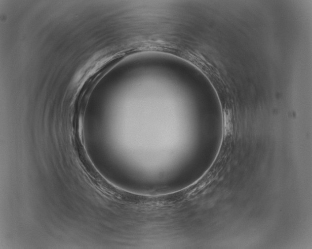 X0000070180291200606021039