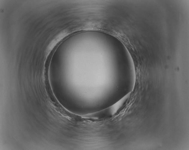 X0000070180292200606021039