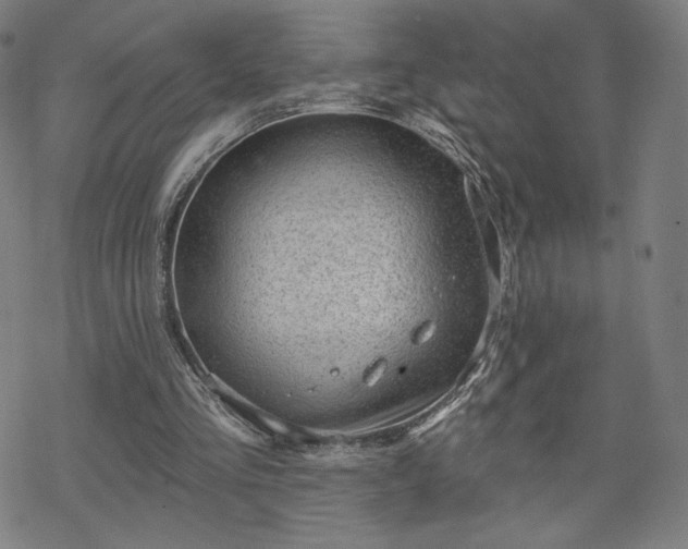 X0000070180293200606021039