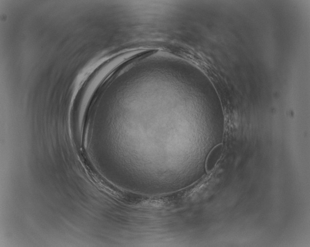 X0000070180294200606021039