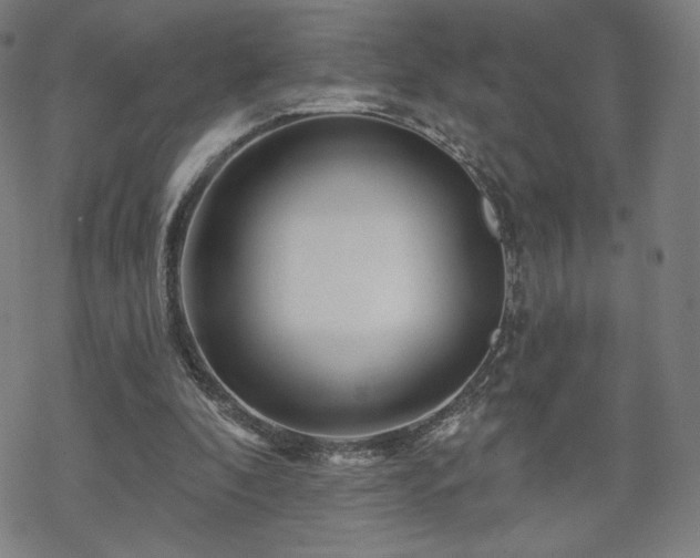 X0000070180296200606021039