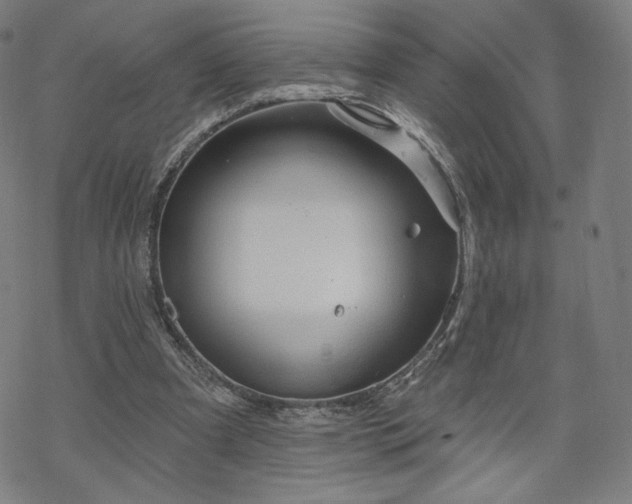 X0000070180297200606021039