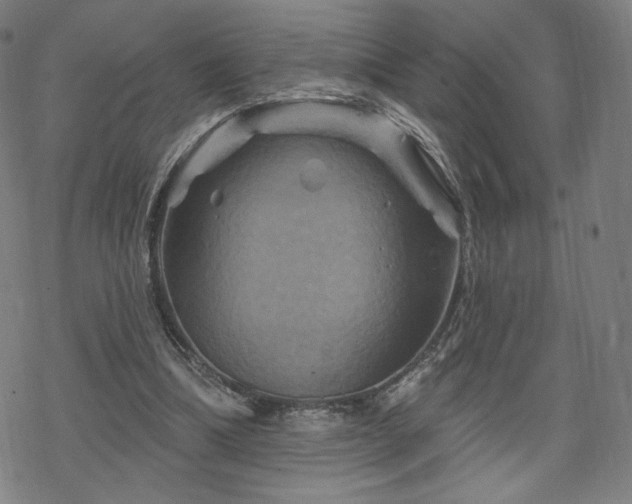 X0000070180298200606021039