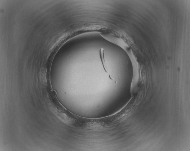 X0000070180300200606021039