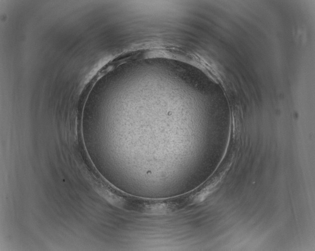 X0000070180301200606021039