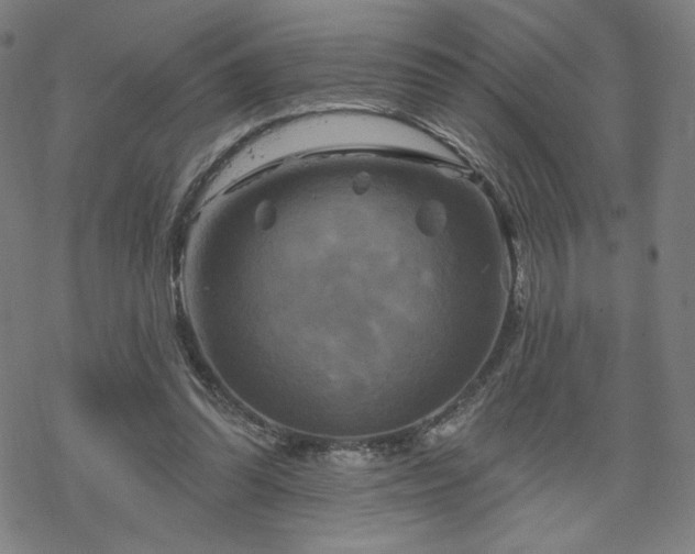 X0000070180302200606021039