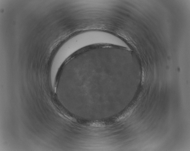 X0000070180303200606021039