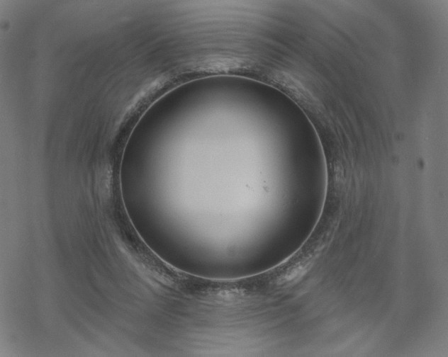 X0000070180304200606021039