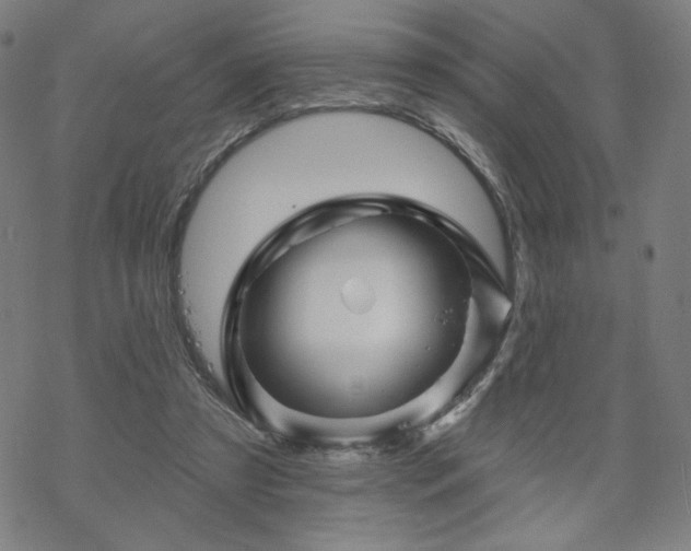 X0000070180305200606021039