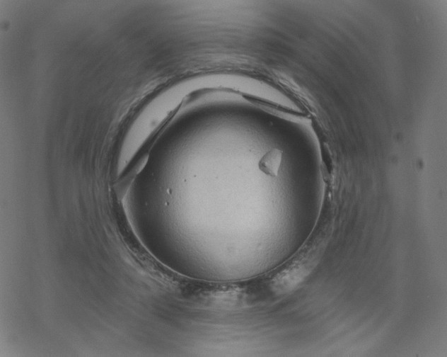 X0000070180306200606021039