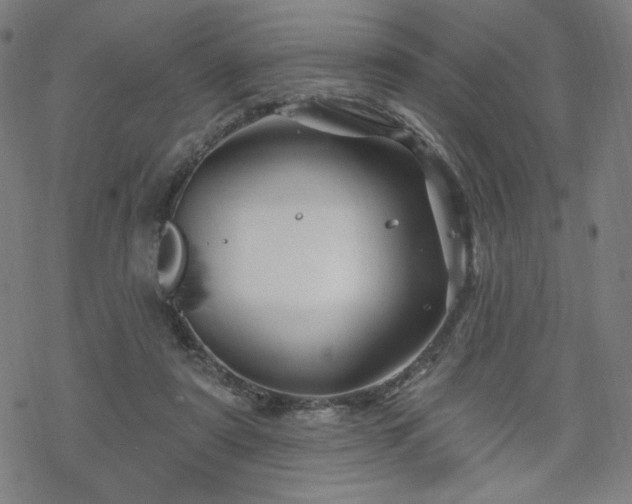 X0000070180307200606021039