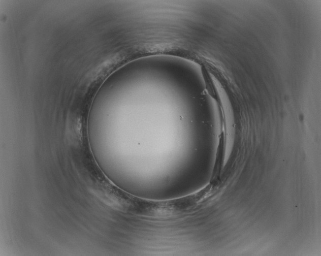 X0000070180308200606021039