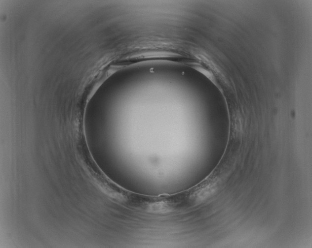 X0000070180309200606021039