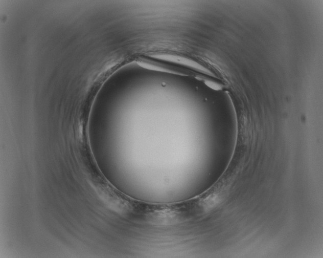 X0000070180310200606021039