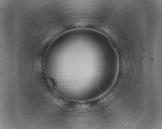 X0000070180311200606021039