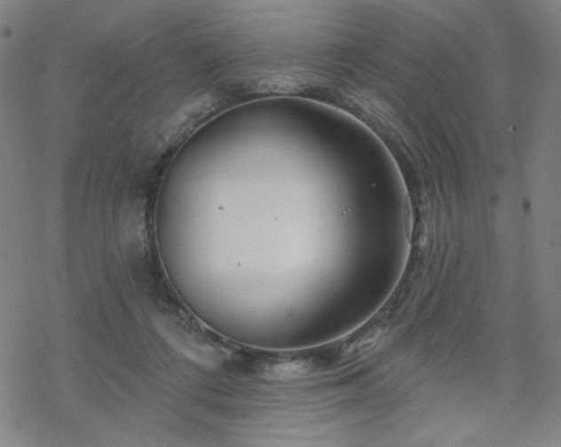 X0000070180312200606021039