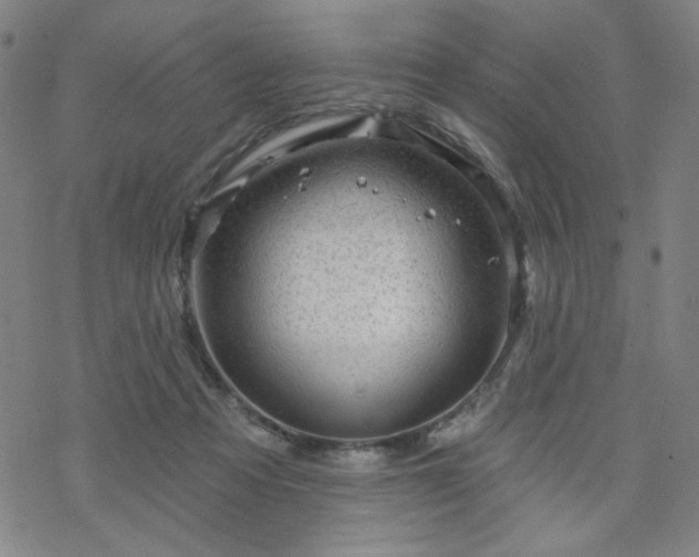 X0000070180313200606021039