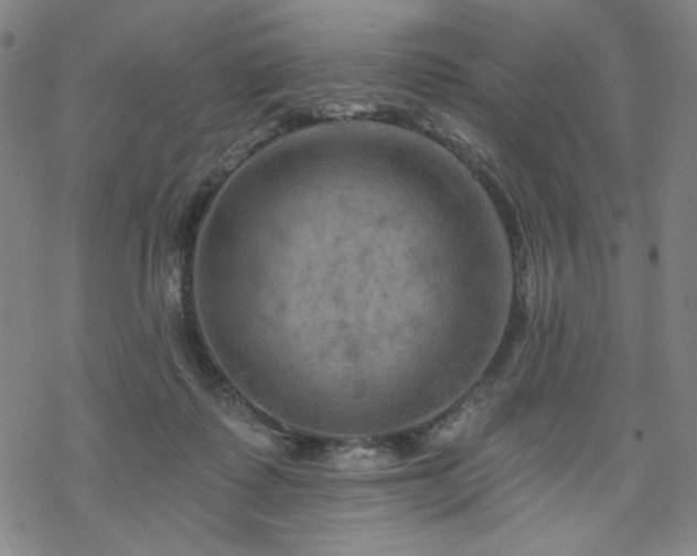 X0000070180315200606021039