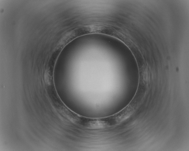 X0000070180316200606021039