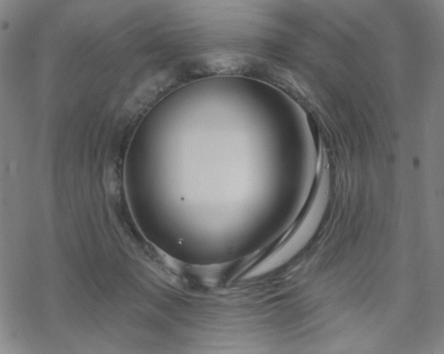 X0000070180317200606021039