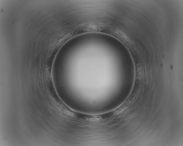 X0000070180318200606021039