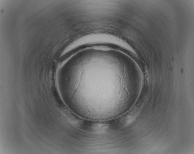 X0000070180319200606021039