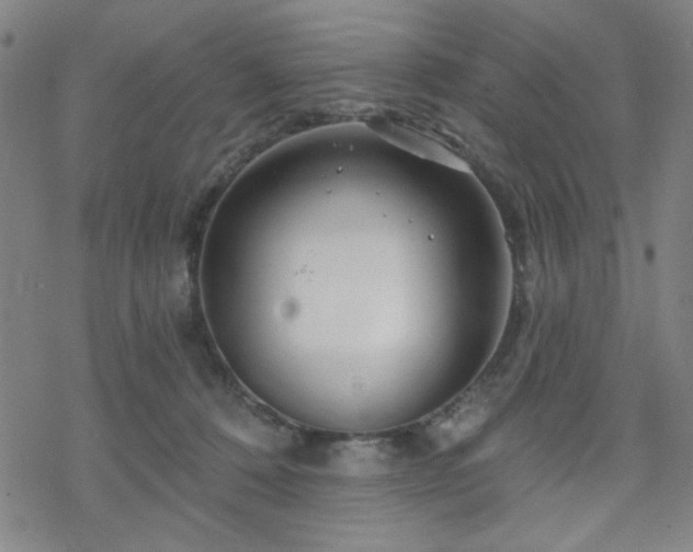 X0000070180320200606021039