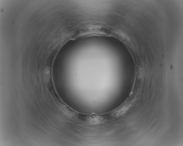 X0000070180321200606021039