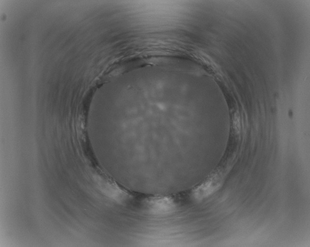 X0000070180322200606021039