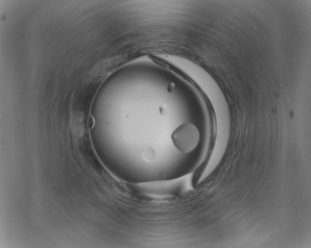 X0000070180323200606021039