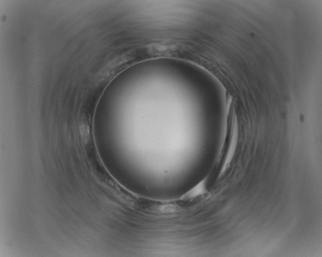 X0000070180324200606021039