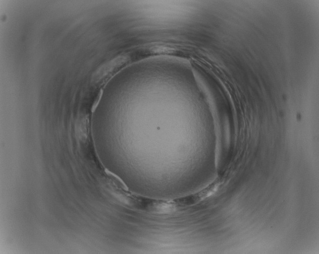 X0000070180325200606021039