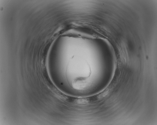 X0000070180327200606021039