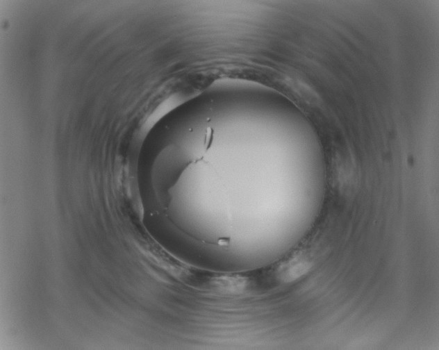 X0000070180328200606021039