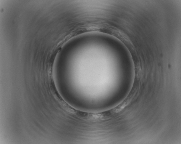 X0000070180329200606021039