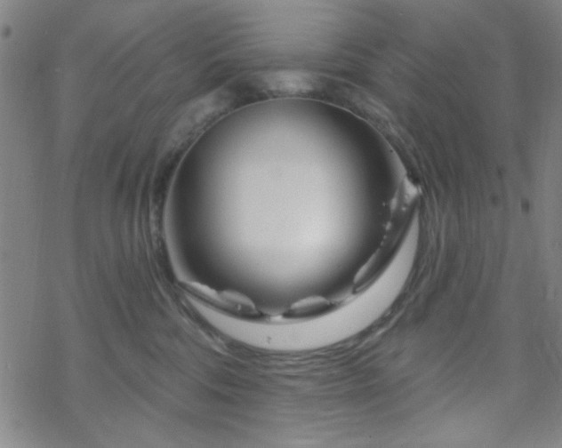 X0000070180330200606021039