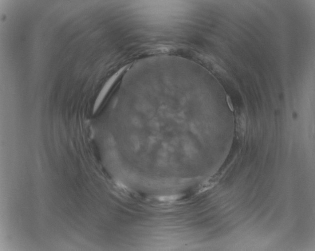 X0000070180331200606021039