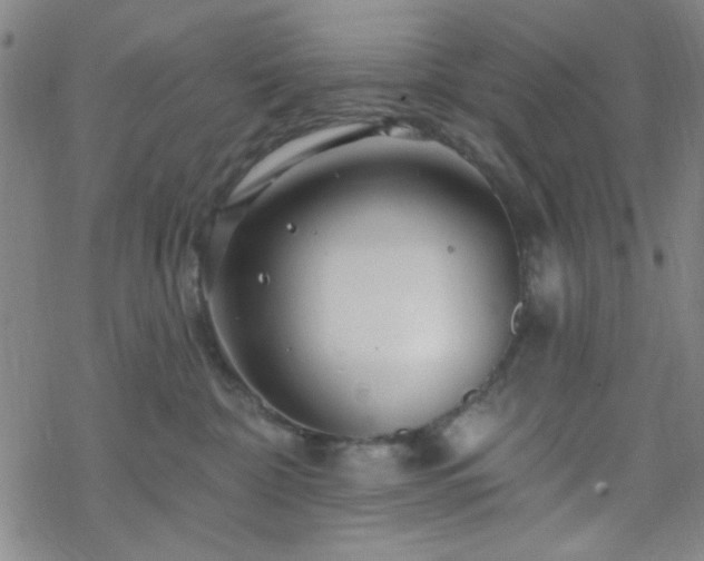 X0000070180332200606021038