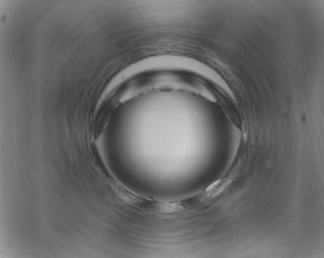 X0000070180333200606021038