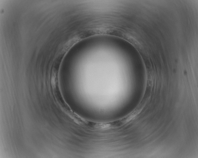 X0000070180334200606021038